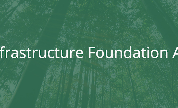 2020 Annual Report: OpenInfra Foundation Working Groups